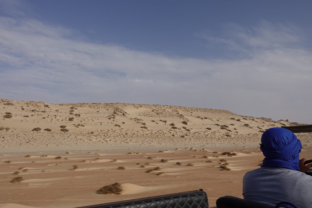 Dakhla, August 2026 (photo 27 of 37)