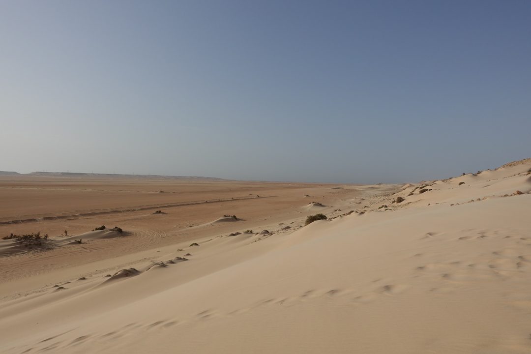 Dakhla, August 2026 (photo 29 of 37)