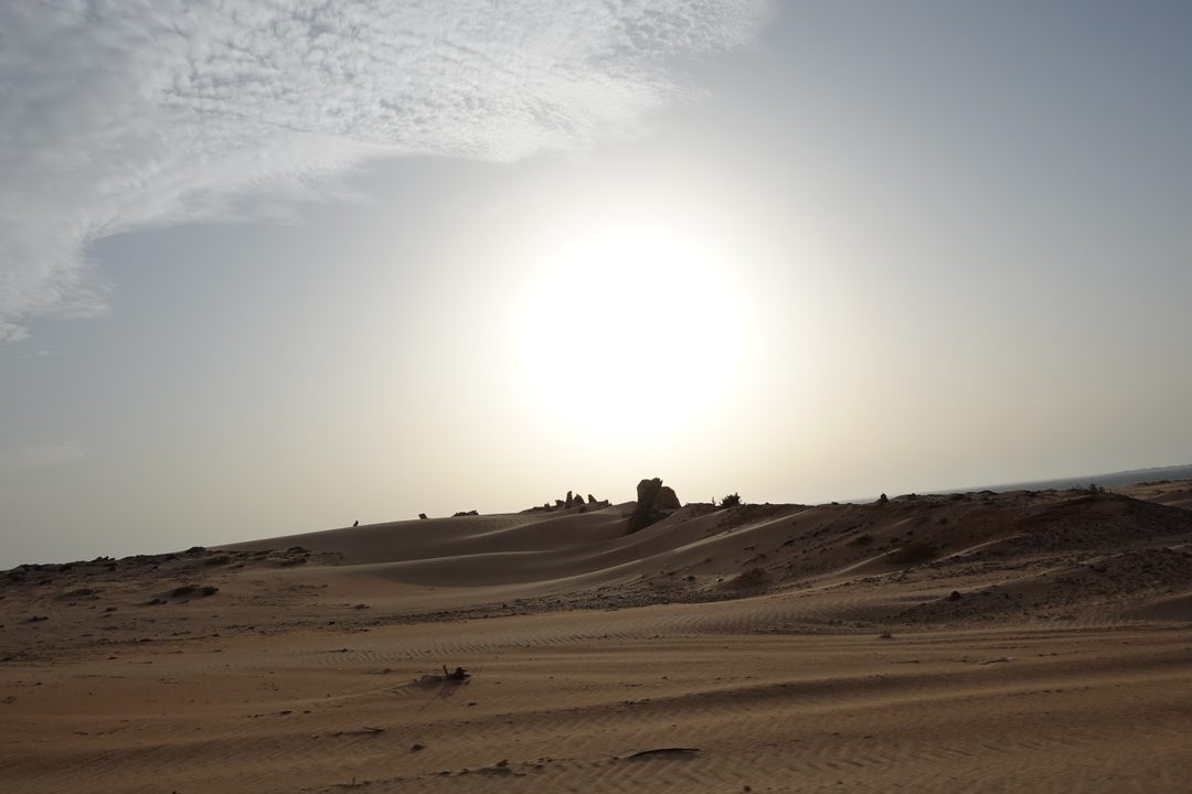 Dakhla, August 2026 (photo 30 of 37)