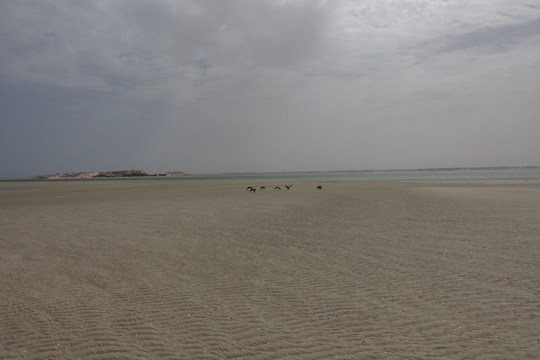 Dakhla, August 2026 (photo 4 of 37)