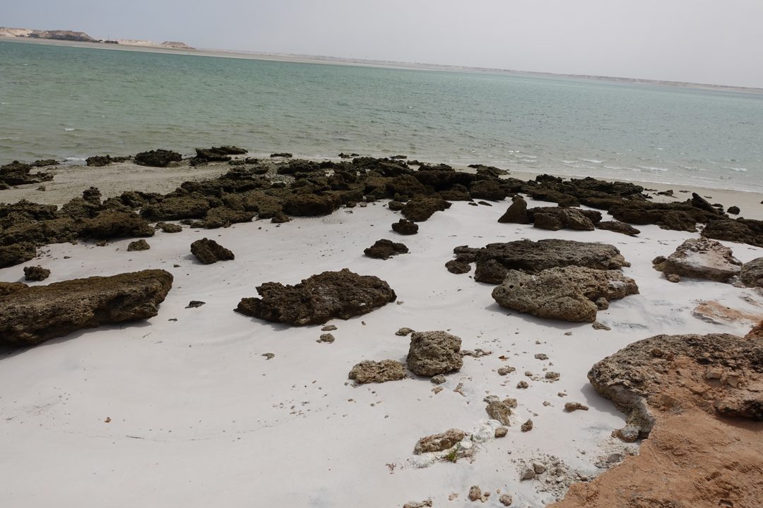 Dakhla, August 2026 (photo 5 of 37)