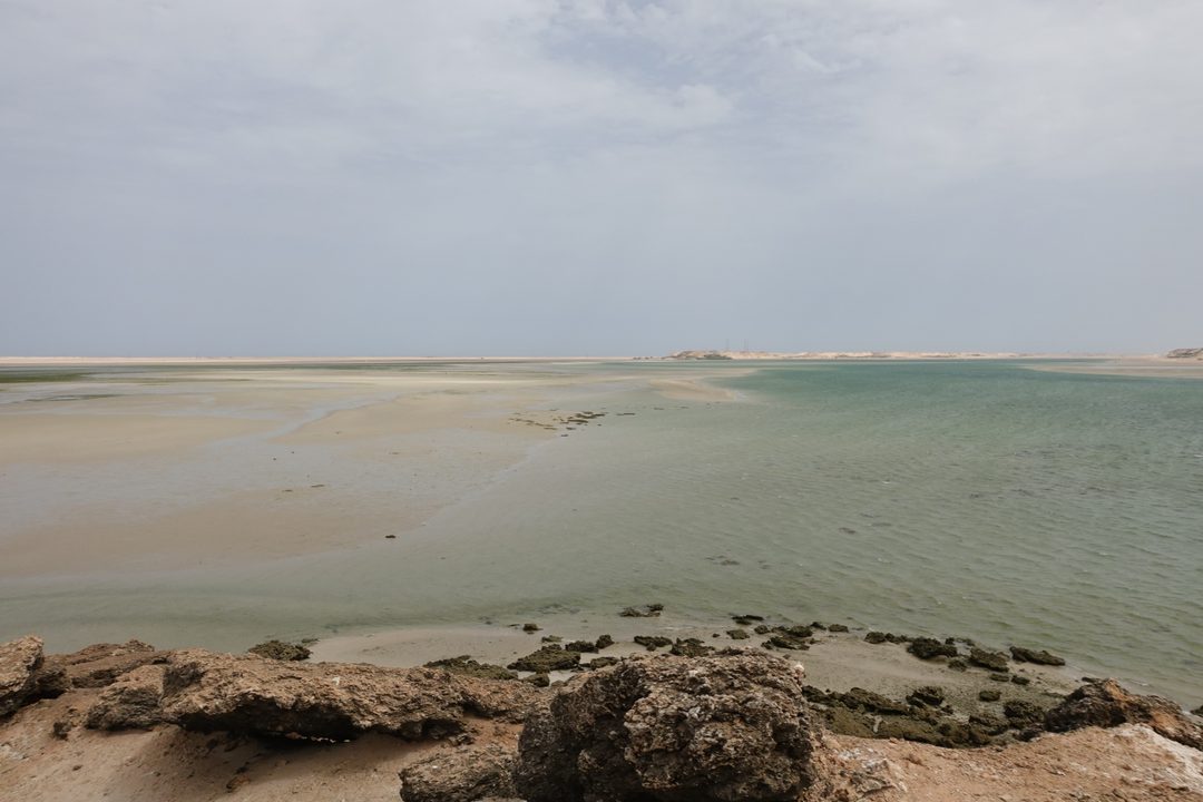 Dakhla, August 2026 (photo 8 of 37)